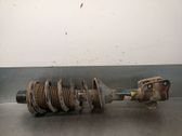 Rear shock absorber/damper