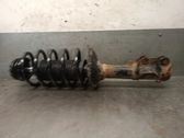 Amortiguador delantero con muelle espiral