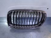 Kühlergrill