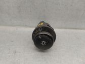 Panel lighting control switch