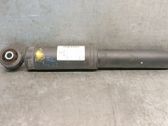 Rear shock absorber/damper