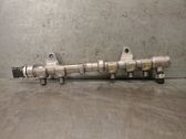 MONO injection