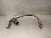Sonde lambda