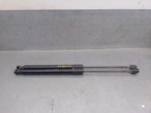 Tailgate/trunk strut/damper