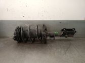 Amortiguador delantero con muelle espiral