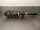 Amortiguador delantero con muelle espiral