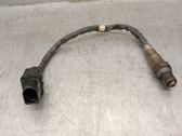 Sonde lambda
