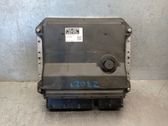 Unidad de control/módulo del motor