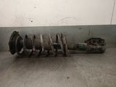 Amortiguador delantero con muelle espiral