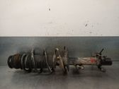 Amortiguador delantero con muelle espiral