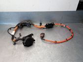 Faisceau de câblage pour moteur