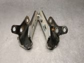 Bisagras del capó/tapa del motor