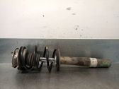 Front shock absorber with coil spring