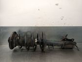 Front shock absorber with coil spring