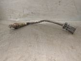 Sonde lambda