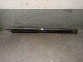 Rear shock absorber/damper