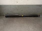 Rear shock absorber/damper