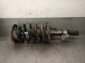 Amortiguador delantero con muelle espiral