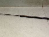 Front bonnet/hood damper/strut