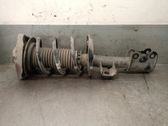 Amortiguador delantero con muelle espiral