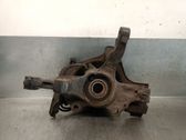 Front wheel hub spindle knuckle
