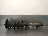 Amortiguador delantero con muelle espiral