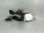 Cinturón trasero