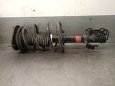 Front shock absorber with coil spring