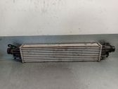Intercooler radiator