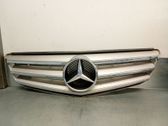 Rejilla delantera