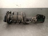 Amortiguador delantero con muelle espiral