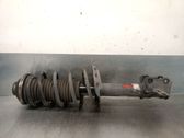 Front shock absorber with coil spring