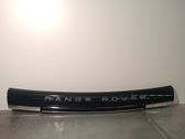 Manecilla externa puerta trasera