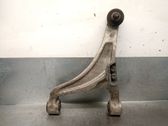 Querlenker hinten