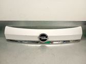 Dashboard trim