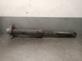 Rear shock absorber/damper