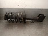 Front shock absorber with coil spring