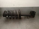 Front shock absorber with coil spring