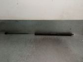 Amortiguador/puntal del capó/tapa delantero