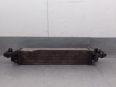 Intercooler radiator