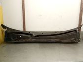 Windshield trim