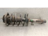 Front shock absorber with coil spring