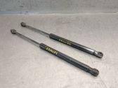 Tailgate/trunk strut/damper