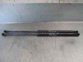 Tailgate/trunk strut/damper