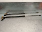 Tailgate/trunk strut/damper