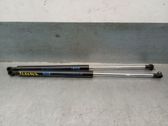 Tailgate/trunk strut/damper