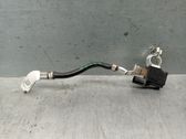 Faisceau de câblage pour moteur