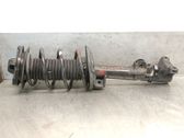 Amortiguador delantero con muelle espiral