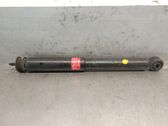 Front shock absorber with coil spring