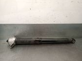 Rear shock absorber/damper